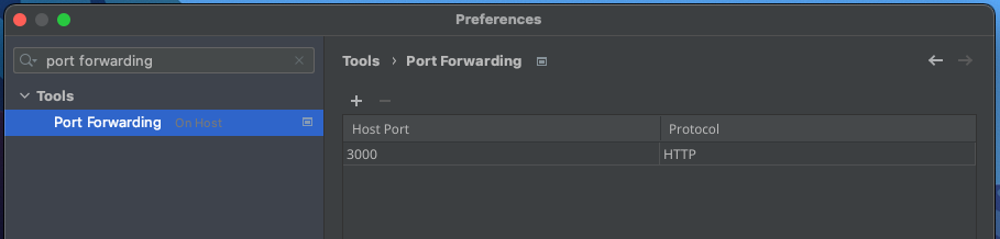 Port forwarding in a JetBrains IDE