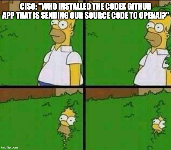 CISO Codex