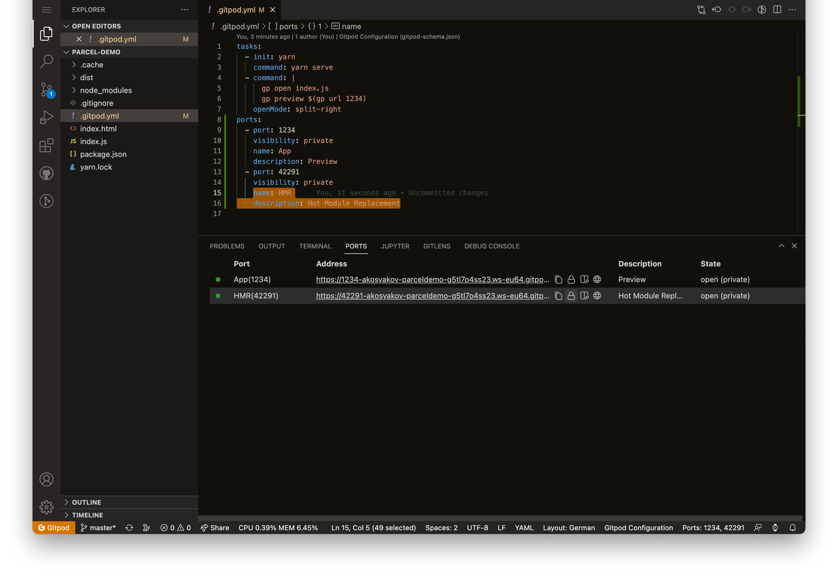 The new VS Code Browser ports view, shown at the bottom of VS Code alongside the terminals and output tabs