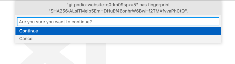 Accepting the SSH fingerprint in VS Code